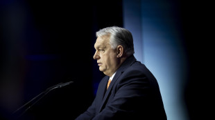 L'Ucraina sconsiglia ai propri cittadini di andare in Ungheria