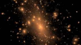 Immagini in HD del travaglio cosmico da cui nascono i pianeti