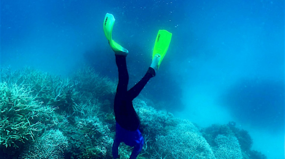Unesco begr&uuml;&szlig;t finanzielle Zusage Australiens zum Schutz des Great Barrier Reef