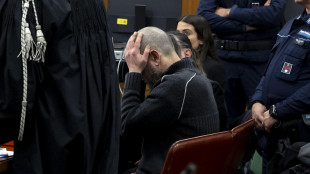 Villa Pamphili, scintille in aula su perizia psichiatrica di Kaufmann