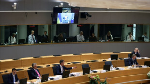 Streit &uuml;ber &Ouml;lembargo &uuml;berschattet EU-Gipfel zur Ukraine