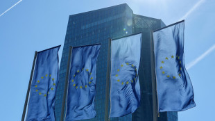 Bce, incertezza elevata, impatto shock energia deve ancora arrivare