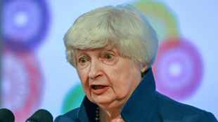 Yellen says Ukraine aid is the best boost for global economy