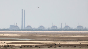 Putin wirft Ukraine Angriffe um das Akw Saporischschja vor