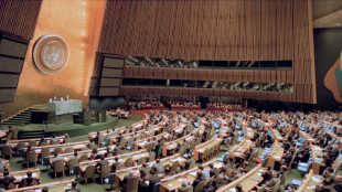 Vor UN-Generalversammlung: US-Außenministerium verweigert Palästinenservertretern Visa