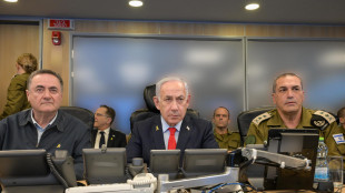 Capo Idf, 'esprimiamo la nostra posizione senza timore'