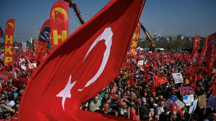 Turquía confirma la detención de un periodista sueco acusado de "terrorismo"