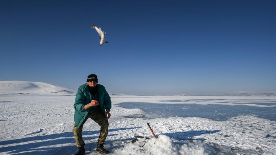 One-horse open sleigh ride across frozen Turkish lake