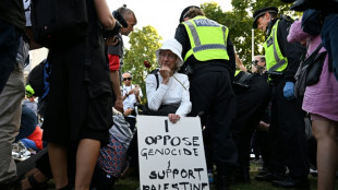 Cerca de 50 nuevos inculpados en Reino Unido por manifestar su apoyo a una organización propalestina prohibida