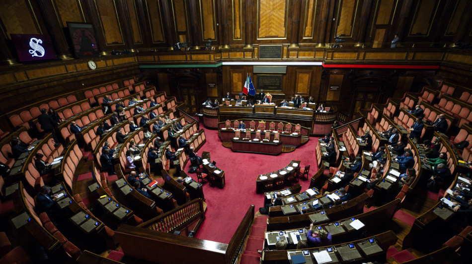 Il Senato approva il ddl per i reati contro gli animali