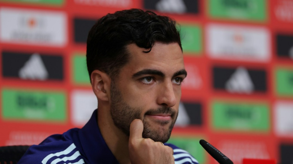 Espa&ntilde;a puede "adaptarse a distintos entornos", destaca Mikel Merino