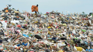 New push to reach plastic pollution pact 