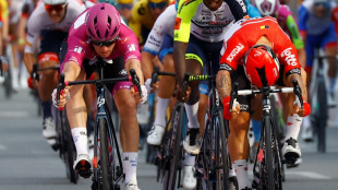 Tour d'Italie: tout r&eacute;ussit &agrave; D&eacute;mare, de nouveau vainqueur sur le Giro