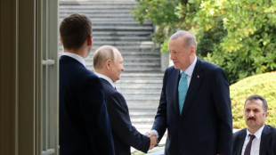 Erdogan k&uuml;ndigt "sehr wichtige" Botschaft zum Getreideabkommen an