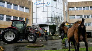 Dermatose et abattage des bovins: la Conf&eacute;d&eacute;ration paysanne appelle &agrave; "des blocages partout"