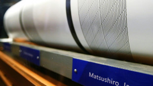 M&aacute;s de 400 sismos sacuden una cadena de islas en el sur de Jap&oacute;n