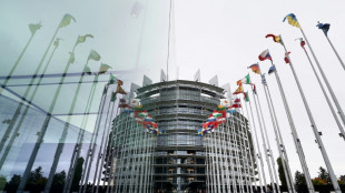 Journalistes, humanitaires ou manifestants: l'UE attribue le prix Sakharov