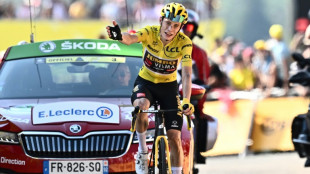 Tour de France: Vingegaard domine la derni&egrave;re &eacute;tape de montagne