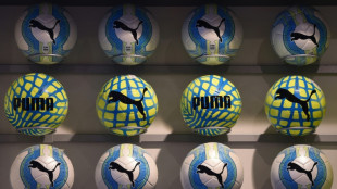 China's Anta Sports to become top Puma shareholder