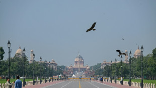 India replaces British architect statue with independence hero