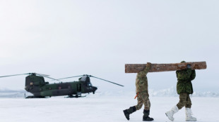 Canada makes push to attract skilled migrants, including for defence