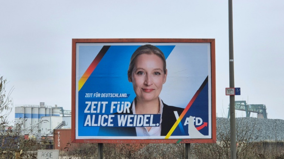 Bundestagsverwaltung prüft umstrittene Parteispende für die AfD