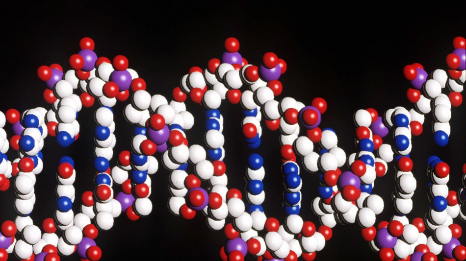 Non solo doppia elica, dai nodi del Dna la strada per nuove terapie