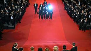 Festival de Cannes: des stars en nombre, la comp&eacute;tition s'acc&eacute;l&egrave;re