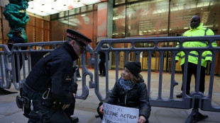 Greta Thunberg bei Demo f&uuml;r verbotene pro-pal&auml;stinensische Gruppe festgenommen