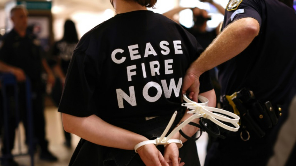Des centaines d'arrestations &agrave; New York pendant une manifestation juive de soutien &agrave; Gaza