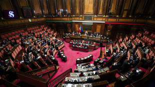 Il Senato conferma fiducia, dl pubblica amministrazione &egrave; legge