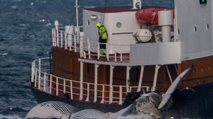 Islande: le dernier baleinier menace de porter plainte si la chasse est interdite 