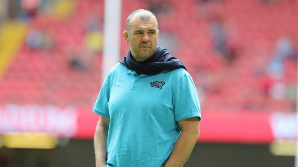 Rugby: Michael Cheika officiellement nomm&eacute; &agrave; la t&ecirc;te des Pumas argentins