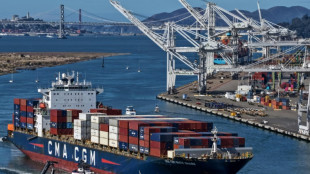 China's suspension of rare earth controls applies to EU: official