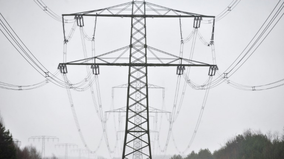 Reiche: Neue Stromleitungen sollen wieder oberirdisch gebaut werden 