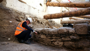 Hallan en Par&iacute;s una muralla galorromana que puede aclarar el origen de la ciudad