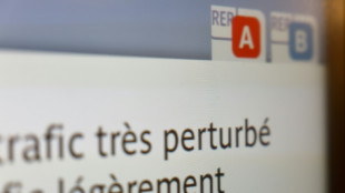 Grèves pour les retraites: perturbations limitées dans les transports jeudi