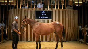 Ventes de yearlings records &agrave; Deauville &agrave; plus de 51 millions d'euros