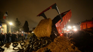 Manifestation d'agriculteurs au Mans pour réclamer de meilleurs prix