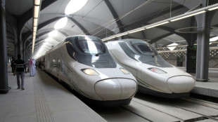 Ungarisches Konsortium zieht Angebot f&uuml;r spanischen Zughersteller Talgo zur&uuml;ck