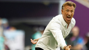 Saudi Arabia's Renard not dwelling on 'crazy' World Cup win