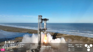 US grounds SpaceX's Starship rocket pending probe