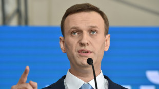 Bundesregierung in Sorge um russischen Kreml-Kritiker Nawalny