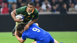 Marseille pre-Rugby World Cup experience 'great' despite loss for Willemse's Boks