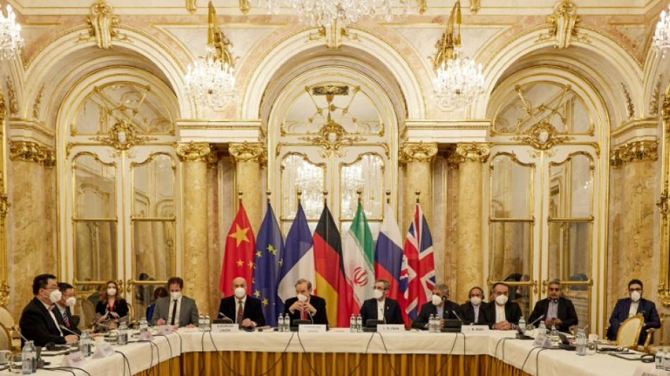 Iranischer Chefunterh&auml;ndler &auml;u&szlig;ert sich optimistisch zu Atomverhandlungen in Wien
