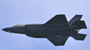 Swiss eyeing fewer F-35 fighters, reshaping defence set-up