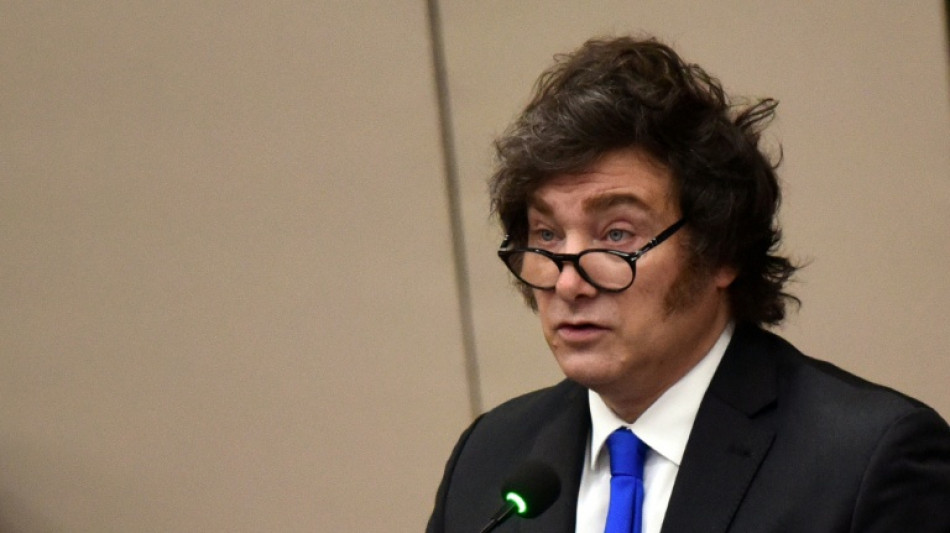 Milei atribuye a "pánico político" en Argentina la tormenta en los mercados financieros