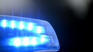 48-j&auml;hriger Verd&auml;chtiger nach Sabotageversuchen an Stromversorgung festgenommen