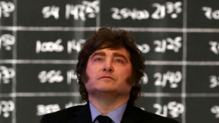 Milei oferece &agrave; Europa uma Argentina com 'energia abundante' e 'longe' de conflitos