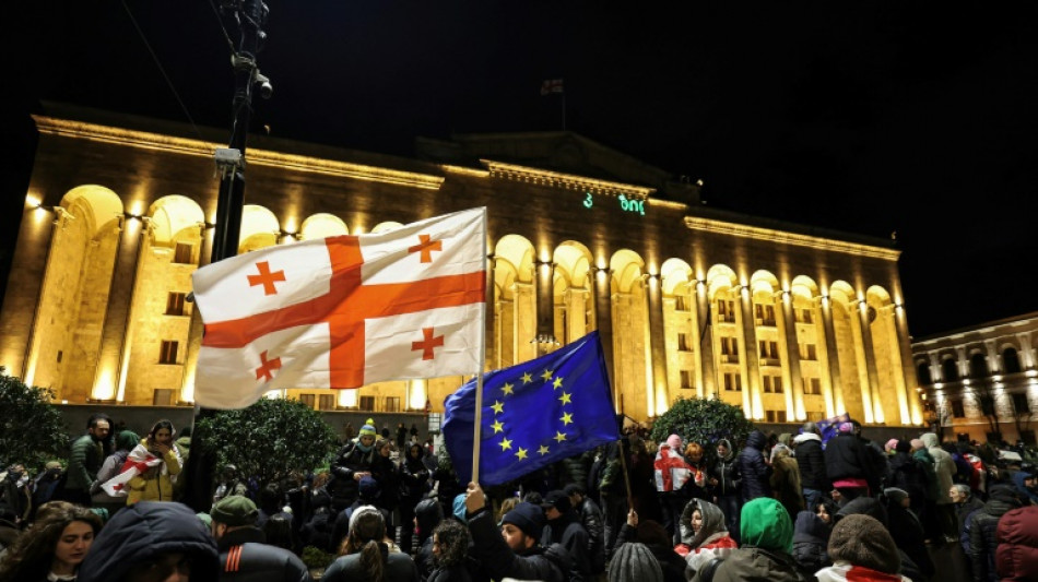 G&eacute;orgie: plus de 40 arrestations lors d'une manifestation pro-UE